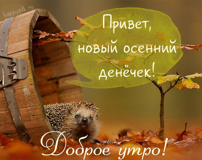 Поздравления С Добрым Утром С Животными Осенью