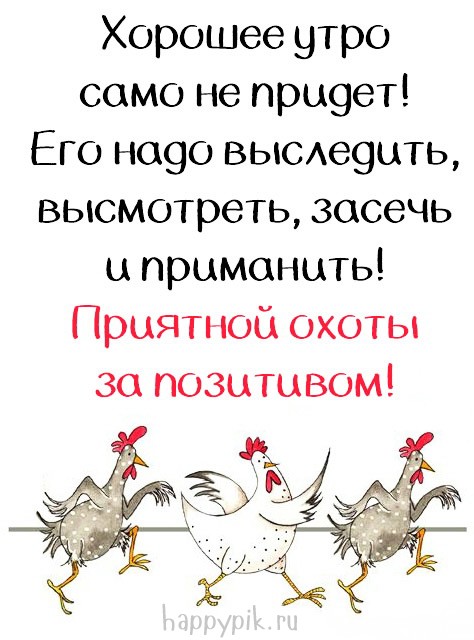 Приманиваем хорошее утро с помощью смешной открытки с танцующими курицами.