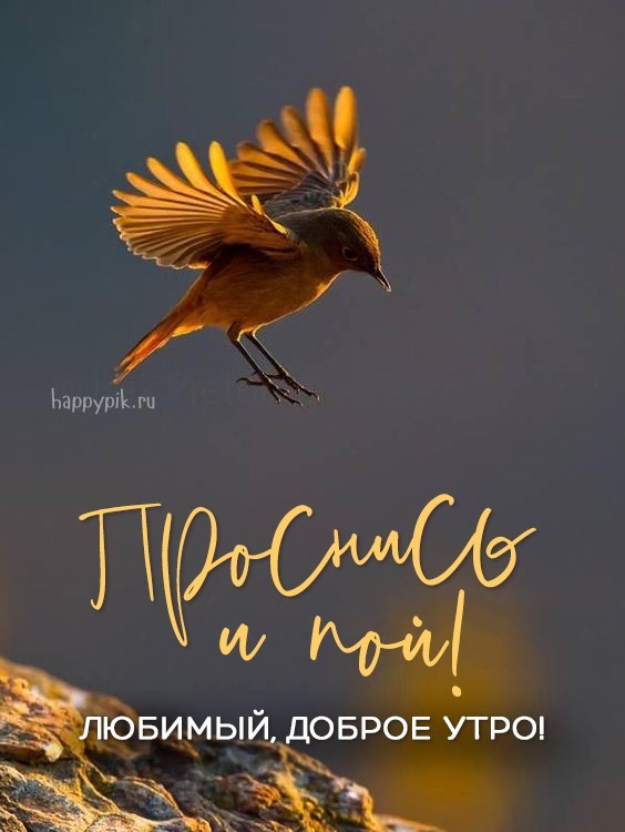 Стильная открытка с летящей птичкой создаст любимому хорошее настроение утром.