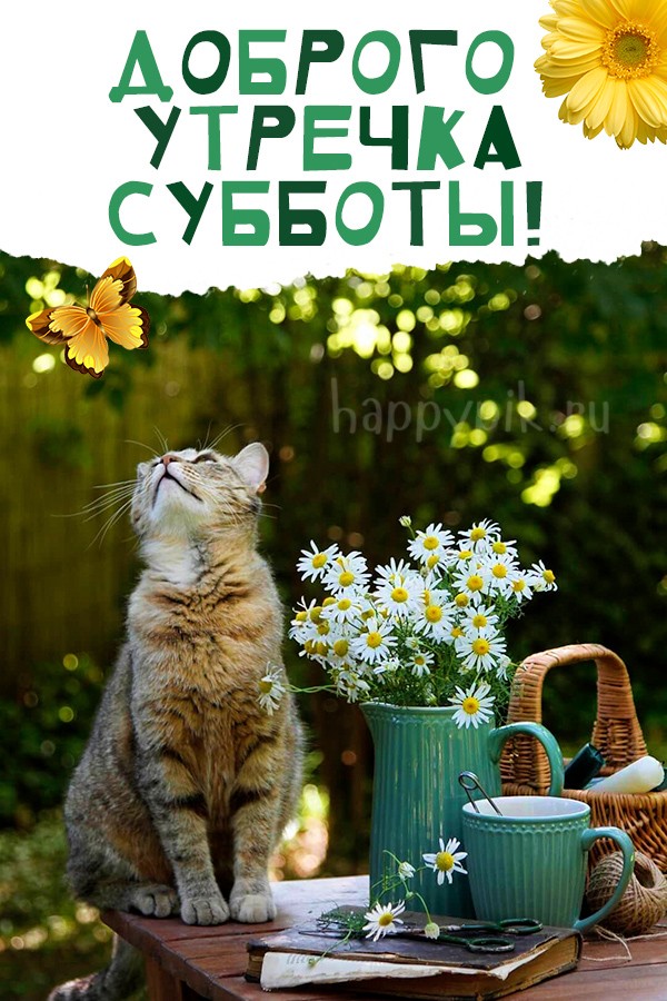 Доброго утречка субботы!