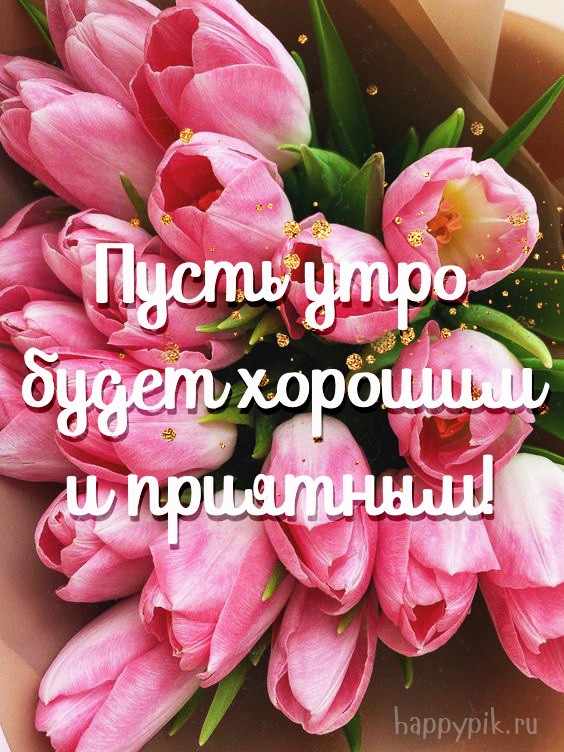 Пусть утро будет хорошим и приятным. Красивая открытка с тюльпанами.