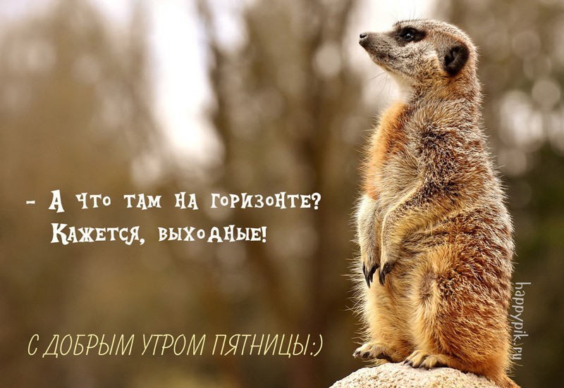 https://happypik.ru/wp-content/uploads/2018/06/s-dobrym-utrom-pjatnitsa17_happypik.ru_.jpg