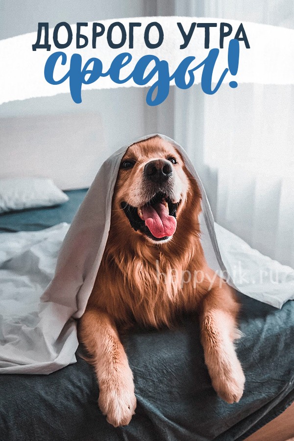 Доброго утра среды!