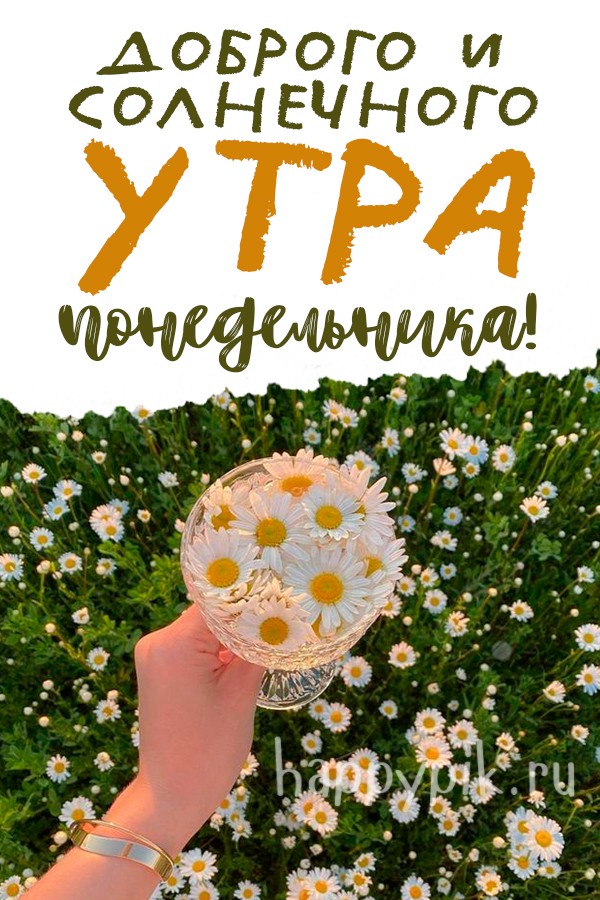 Доброго и солнечного утра понедельника!