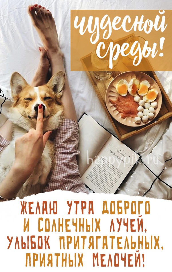 Желаю утра доброго и солнечных лучей!