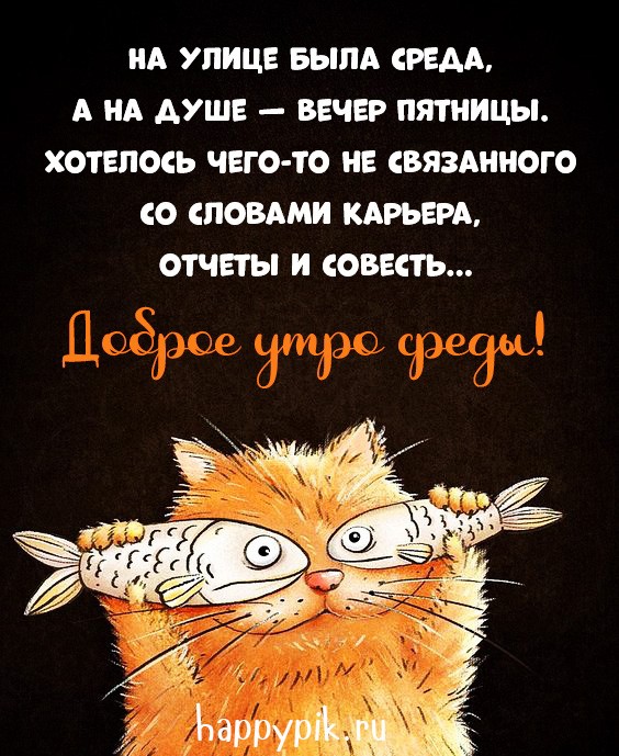 На улице была среда, а на душе - вечер пятницы... Открытка с юмором про среду.
