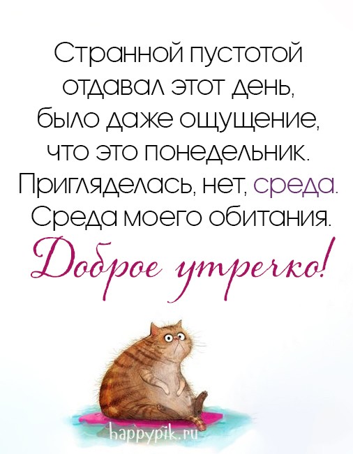 Прикольная открытка с добрым утром среды с надписью.
