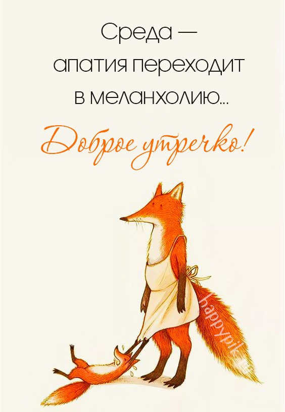 Среда - апатия переходит в меланхолию.
