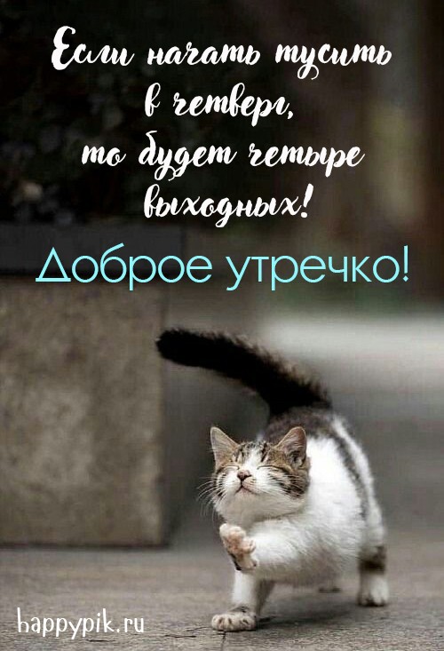 Если начинать тусить в четверг, то будет 4 выходных! Доброе утречко!