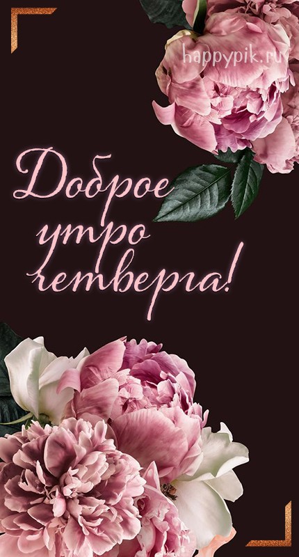 Мы создали прекрасную коллекцию открыток с пожеланиями доброго утра четверга. Сохраняйте себе в подборку на нашем сайте, скачивайте на телефон и радуйте близких новыми открытками и хорошим настроением.