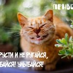 ulybnis1115 happypik.ru