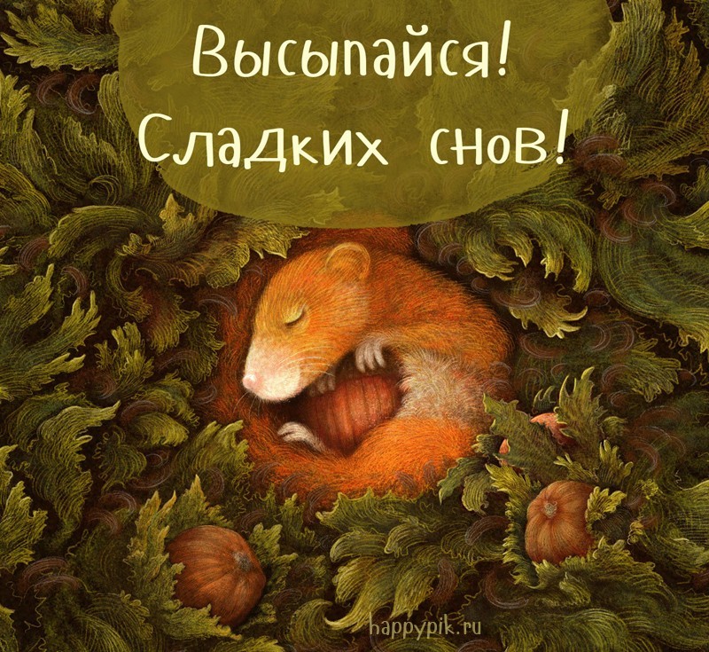 Сонный бельчонок желает сладких снов!