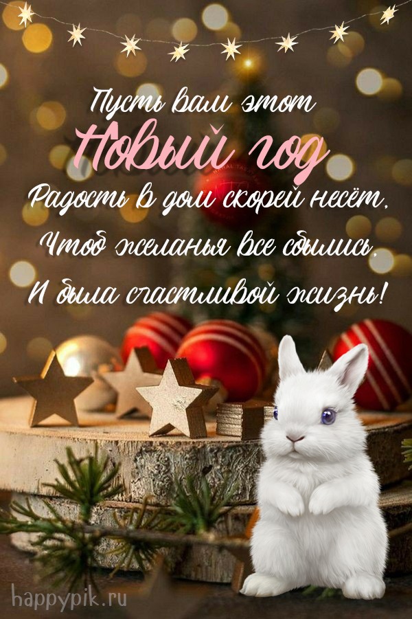 Пусть Вам этот Новый год радость в дом скорей несет! Открытка с символом наступающего года - кроликом.