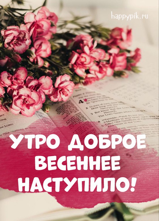Доброе весеннее утро наступило!