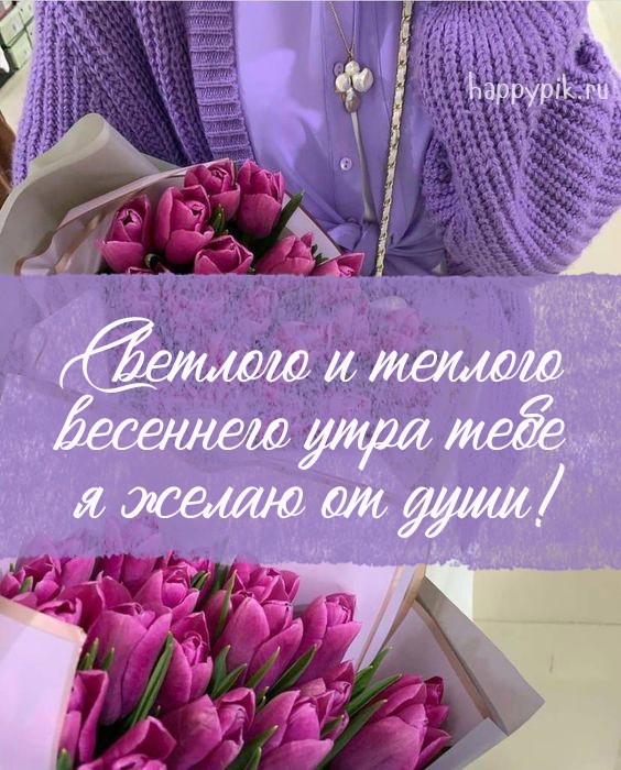Желаю теплого и весеннего утра тебе. Сиреневая открытка с тюльпанами.