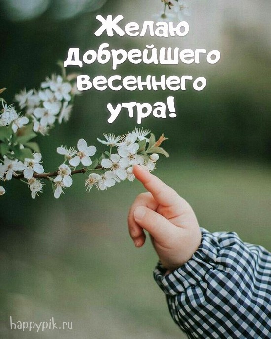 Ручка маленького ребенка тянется к ветке цветущей вишни. Милая весенняя открытка.