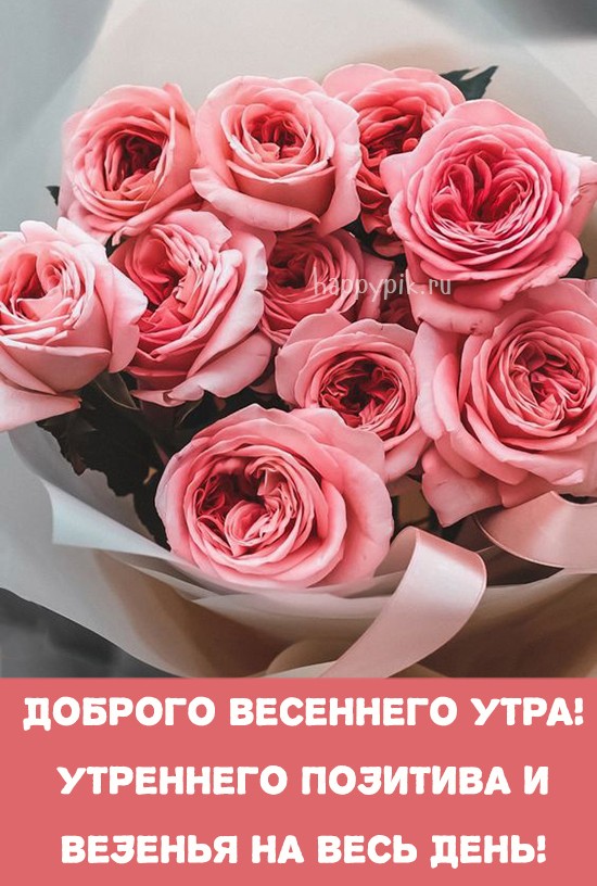 Изысканные розы для весеннего настроения. Открытка с добрым утром для женщины.