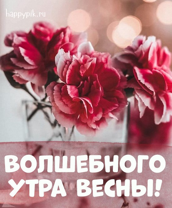 Волшебного утра весны!