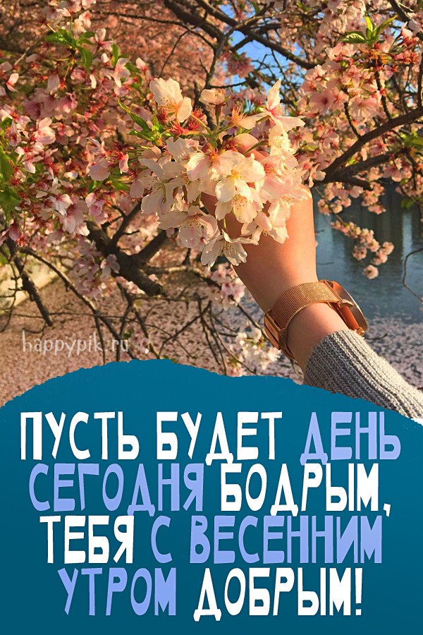 Пусть будет день сегодня бодрым, тебя с весенним утром добрым!