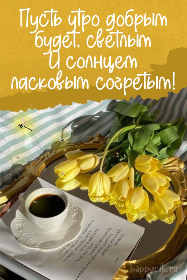 Пусть утро добрым будет, светлым. И солнцем ласковым согретым!