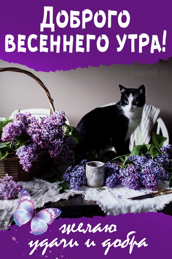 Доброго весеннего утра! Желаю удачи и добра!