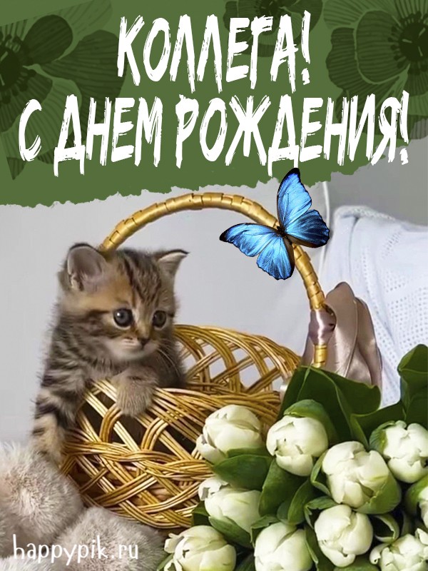 Милая открытка с котенком для коллеги.