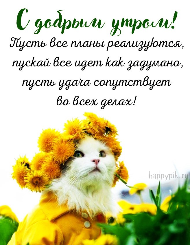 Пусть все планы реализуются, пускай все идет как задумано, пусть удача сопутствует во всех делах! Доброе утро!