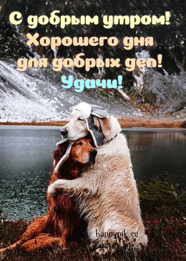 Хорошего дня для добрых дел!