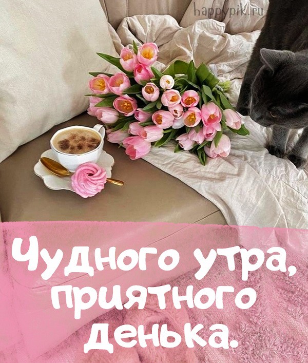 Нежная открытка с розовыми тюльпанами и фарфоровой чашкой кофе.