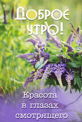 Красивая анимационная открытка с цветами и бабочками с добрым утром.