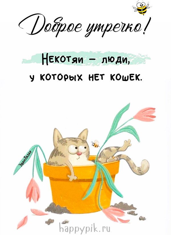 Доброе утречко! Смешная открытка с кошкой.