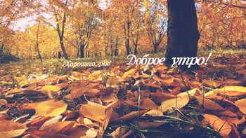 Беседка, октябрь  - Страница 16 Autumn_morning_good_day_2