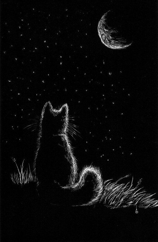 Пушистый котенок, нарисованный со спины, сидит на траве и смотрит на звезды и луну