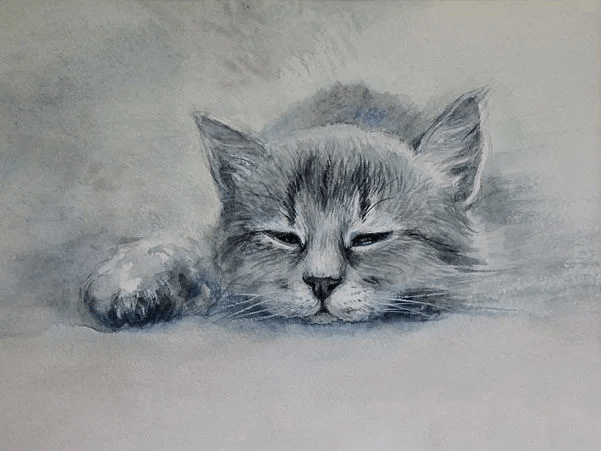 Уставший серый кот лежит, прикрыв глаза и вытянув лапу