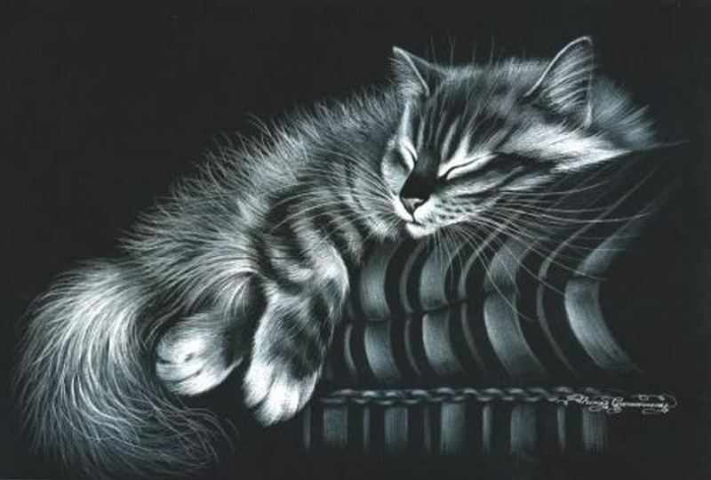 Пушистая кошка спит на полосатом диване