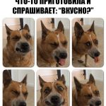 Прикольные картинки собак с надписями