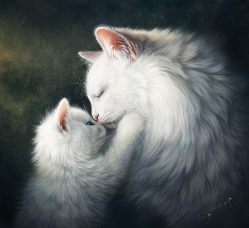 Белый пушистый котенок тянется к маме кошки