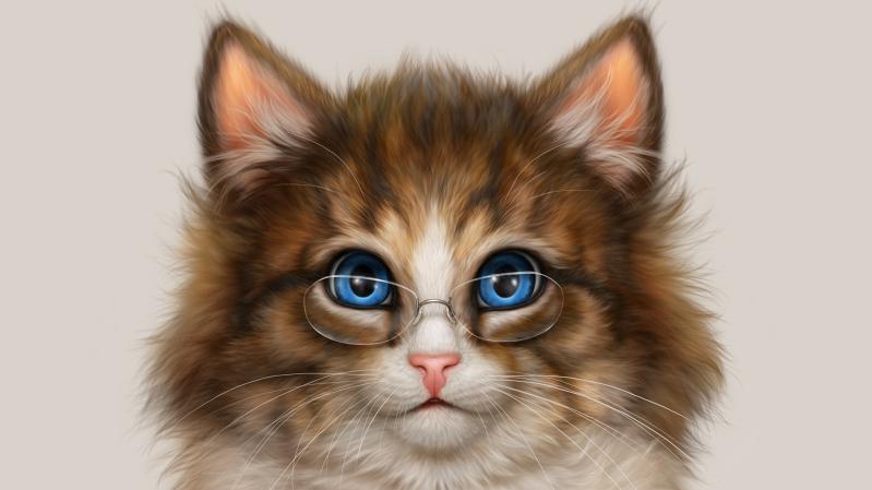Забавный пушистый котенок с голубыми глазами в очках