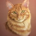 Рисунок кошки. Картинки нарисованных кошек.