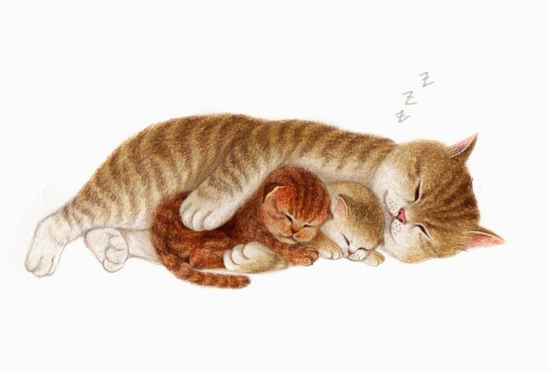 Полосатая коричневая кошка спит с рыжим и коричневым котятами