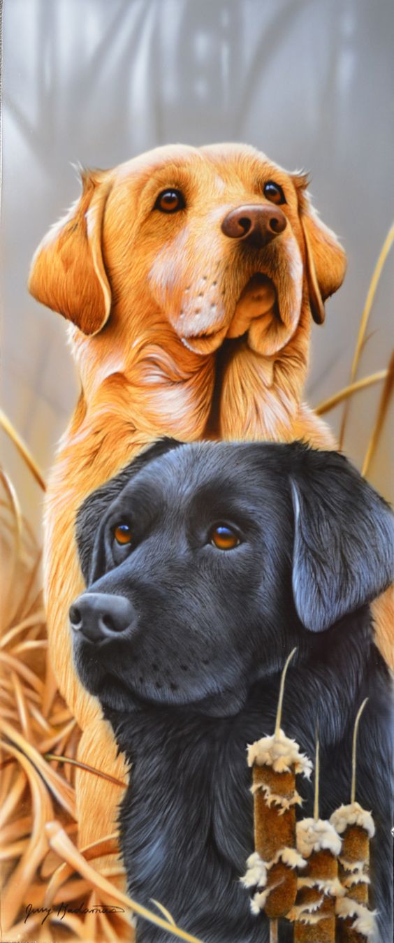 Нарисованные коричневая и черная собаки с карими глазами стоят на фоне камышей