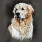 Нарисованные картинки собак. Рисунки собак.