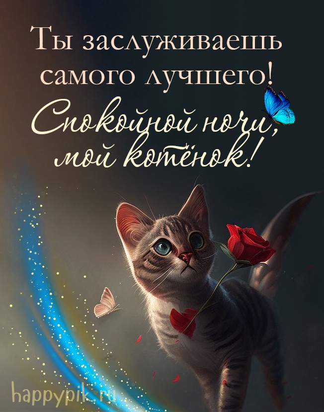 Ты заслуживаешь самого лучшего! Спокойной ночи, мой котенок!