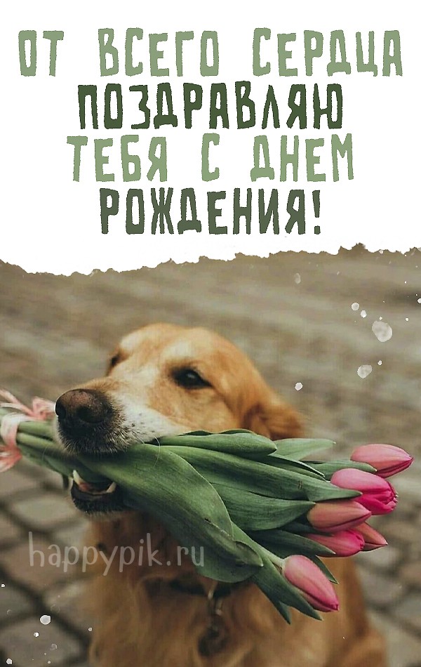 От всего сердца поздравляю тебя с днем рождения.