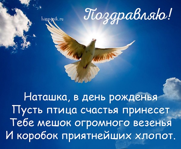 Новая открытка с летящей птицей и поздравлениями в день рождения Наташе.