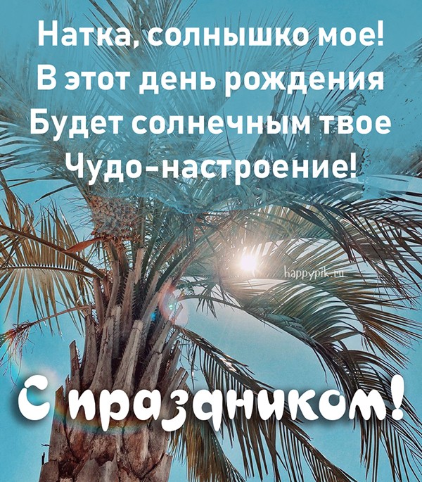 Отправьте онлайн открытку с пальмой в день рождения Натке.