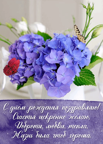 Открытки с днем рождения прованс 🌿💜. Открытки для женщин с др!