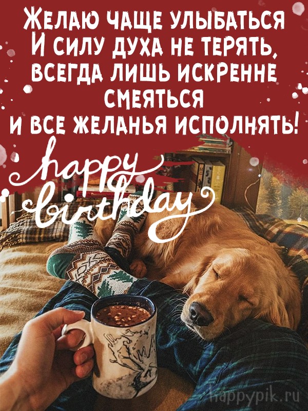 С днем рождения собака