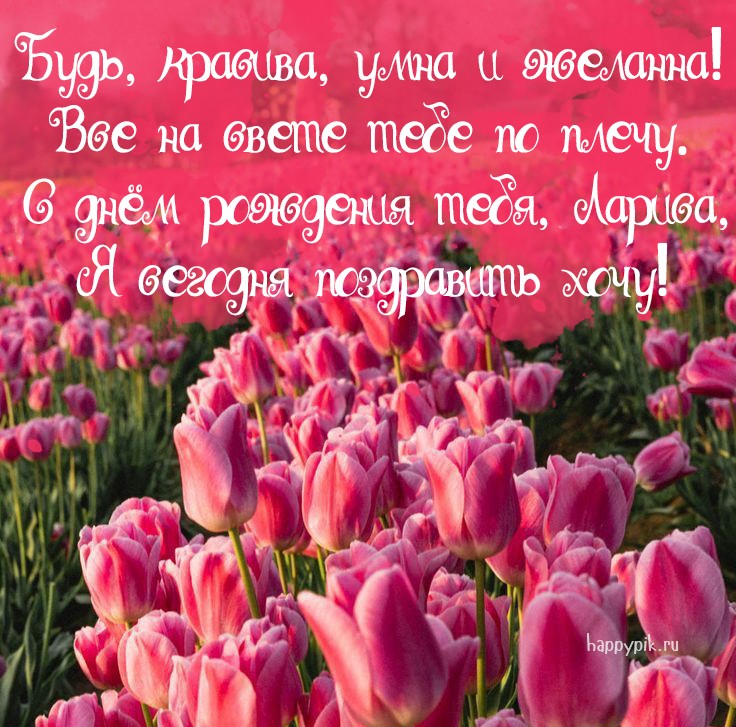 Фото открытка с полем тюльпанов и поздравительным текстом для Ларисы.