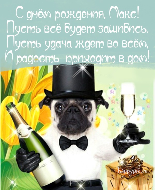 Поздравьте с днем рождения Макса открыткой с собакой и бутылкой шампанского.
